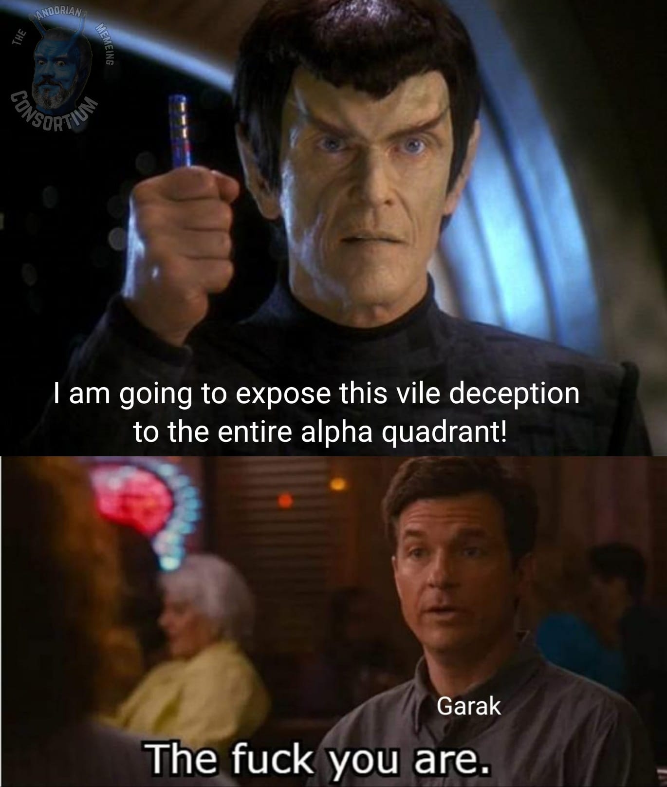 The meme features a split-screen image of two characters from Star Trek: The Next Generation, with a caption in between them. The top image shows Mr. Spock from Star Trek, while the bottom image shows the character from the Star Trek: The Next Generation episode "The Enemy", a villainous alien who is a mirror image of Captain Jean-Luc Picard. The text in between them reads: "I am going to expose this vile deception to the entire alpha quadrant... NO YOU ARE."